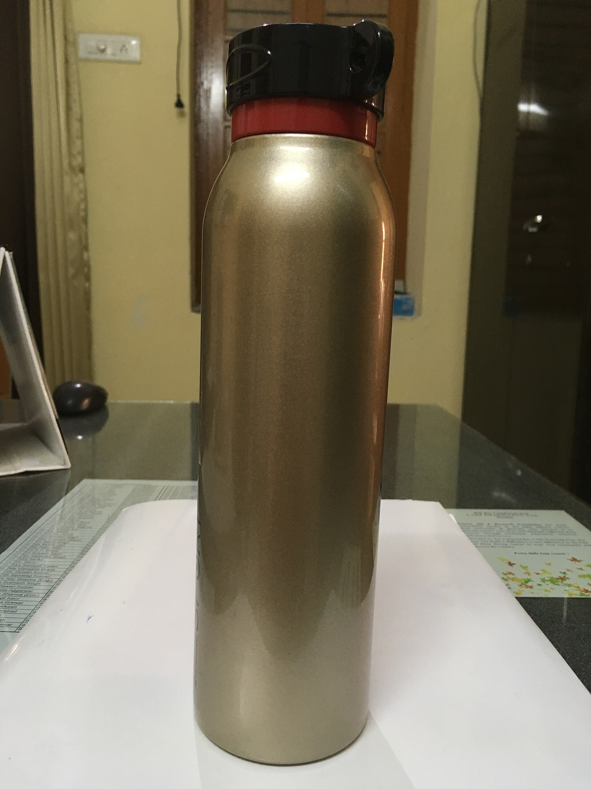 Stainless steel vacuum flask (related)