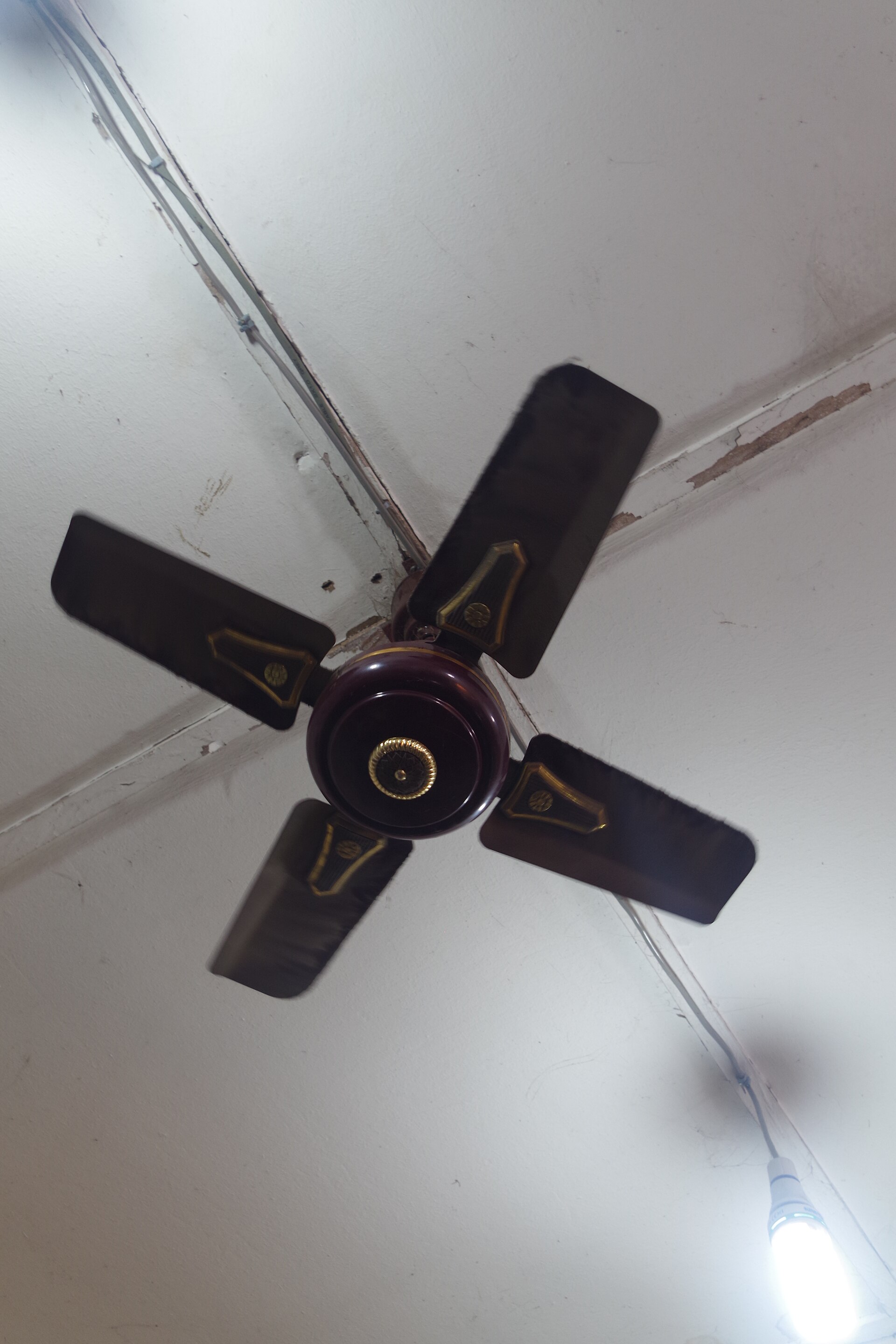 Ceiling fan (related)